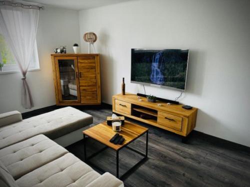 Μια τηλεόραση ή/και κέντρο ψυχαγωγίας στο Appartement chaleureux 3 étoiles
