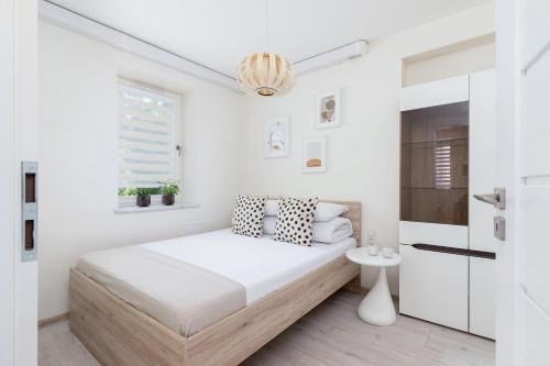 One bedroom apartment in the centre - Sarego 16