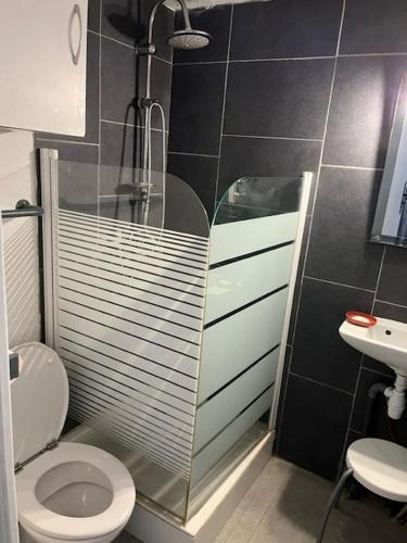 une salle de bain avec une douche, des toilettes et un lavabo dans l'établissement Petite maison proche plage !, à Saint-Cyprien