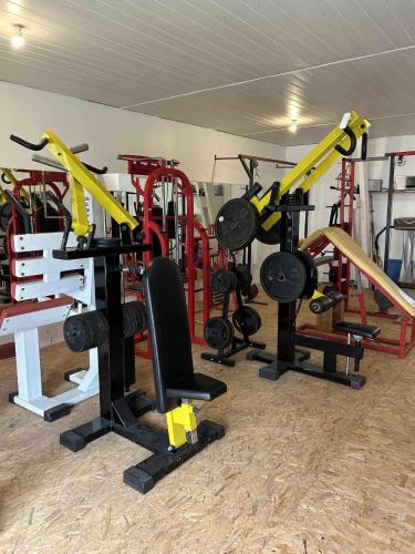 a gym with a bunch of treadmills and weights at Gite Cosy Forme et Bien-etre in Masseret