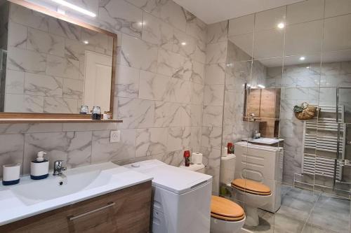 une salle de bain avec un lavabo, des toilettes et un miroir dans l'établissement Appartement scandinave au soleil, à Baillargues