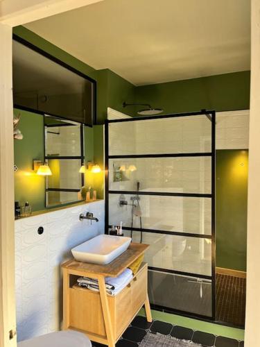 une salle de bain avec un lavabo et une douche dans l'établissement Appartement - Hotel particulier, à LʼÉtang-la-Ville