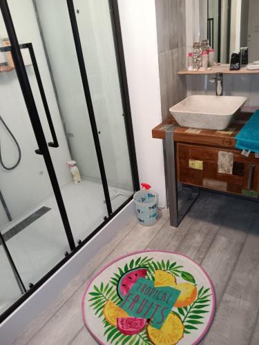 a bathroom with a sink and a bathroom rug at MAISON Centre LOCHES ET RIVIERE 37600 in Loches