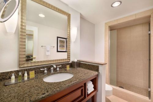 阿尔伯克基DoubleTree by Hilton Hotel Albuquerque的带水槽、马桶和镜子的浴室