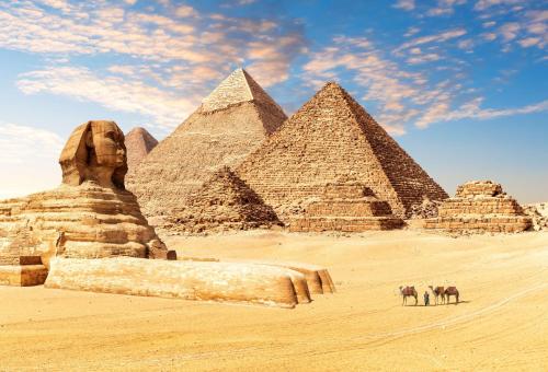 two elephants standing in front of pyramids in the desert at Radisson Blu Hotel, Cairo Heliopolis in Cairo