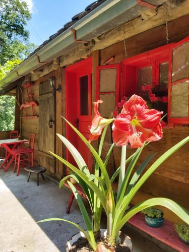 una casa roja con una flor delante en Eko imanje Sunce, Rudnik, en Gornji Milanovac