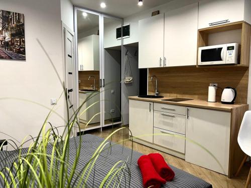 Кухня или мини-кухня в Apartments VIP AVALON
