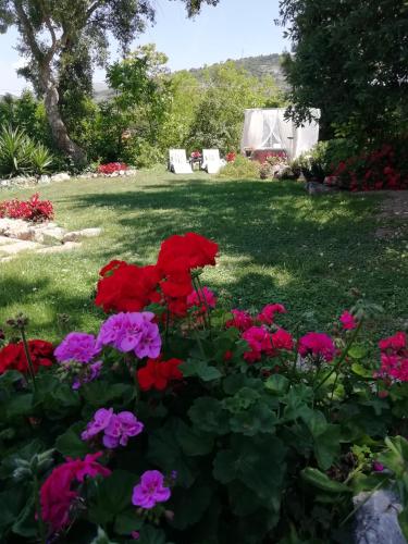 a garden with red and purple flowers in the grass at Il cielo in una stanza in Itri