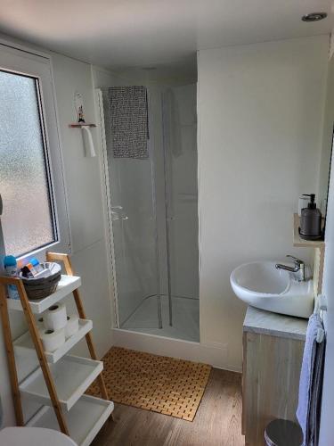 a bathroom with a shower and a sink at Mobilheim ANDREA wunderschöne Ferienwohnung direkt am Meer in Jezera
