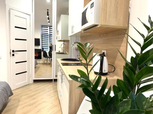 Кухня или мини-кухня в Apartments VIP AVALON

