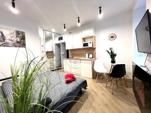 Кухня или мини-кухня в Apartments VIP AVALON
