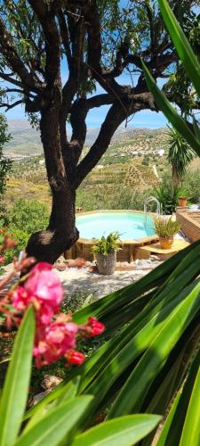 Afbeelding uit fotogalerij van La Vista Viñuela in Viñuela