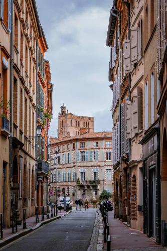 Appartement Luxueux et Fleuri à Toulouse, Capitole