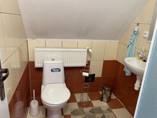 Un baño pequeño con inodoro y lavabo. en Chata EVA v krásnej dedinke, en Závadka nad Hronom