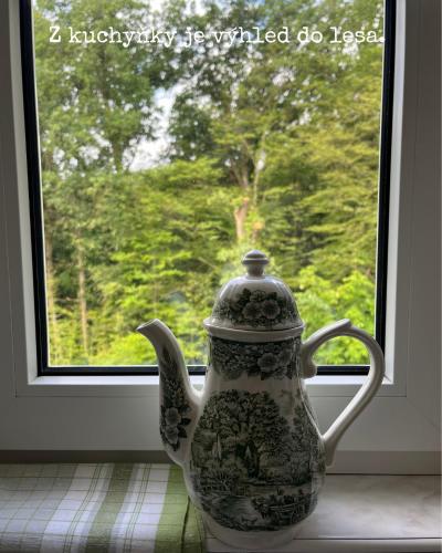 a tea pot sitting in front of a window at Pension Jana Hrubá Skála in Hrubá Skála
