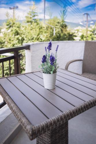 a potted plant sitting on top of a wooden table at Brunis Apartments in Nei Poroi