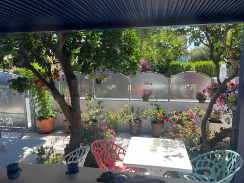 a patio with a table and chairs and potted plants at Wonderland in San Teodoro