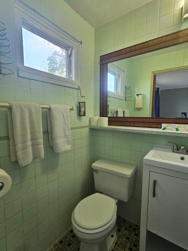 a bathroom with a toilet and a sink and a mirror at The Last Resort Motel in Hart