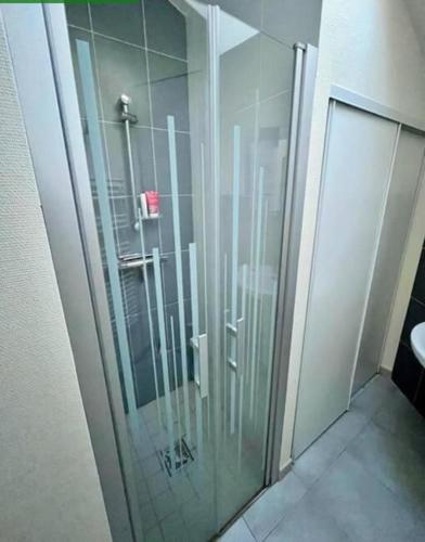 une douche dans une salle de bain avec une porte vitrée dans l'établissement Maisonnette charmante 4 personnes proche de Vannes, à Grand-Champ