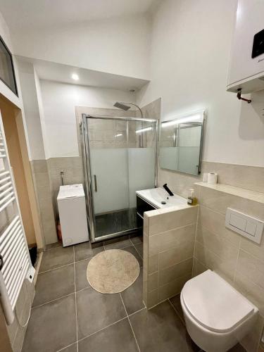 une salle de bain avec toilettes et lavabo dans l'établissement Joli Appartement T2 Saint Laurent Sur Saone, à Saint-Laurent-sur-Saône