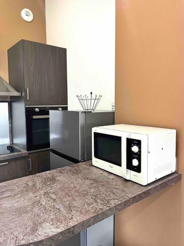 un micro-ondes posé sur un comptoir dans une cuisine dans l'établissement Joli Appartement T2 Saint Laurent Sur Saone, à Saint-Laurent-sur-Saône