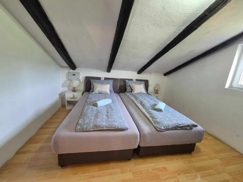 a bedroom with two beds in a room at Vila Antik in Ilirska Bistrica