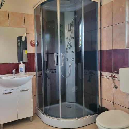 a bathroom with a shower with a sink and a toilet at Vila Antik in Ilirska Bistrica