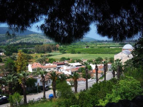 a view of a town with palm trees and a mosque at Saint Johns Hill Boutique Ephesus in Selcuk