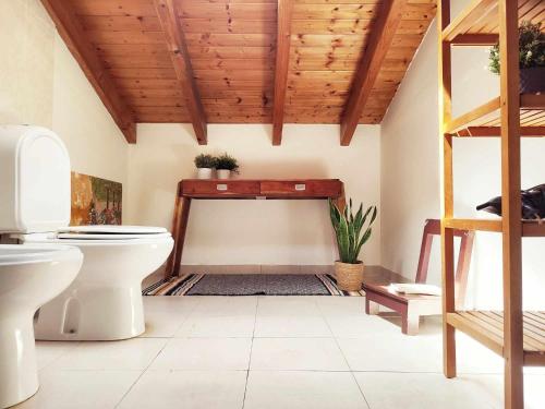 a bathroom with a toilet and a sink at Homestay Attic Private Bedroom in Aljezur
