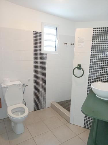 a bathroom with a toilet and a shower and a sink at Hôtel Les Embruns Du Baril in Basse Vallée