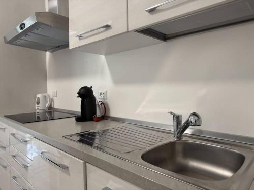 a kitchen with a sink and a black cat on the counter at Luxury Apartment LUNA in Moltrasio