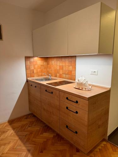 Apartments Mirjanaにあるキッチンまたは簡易キッチン