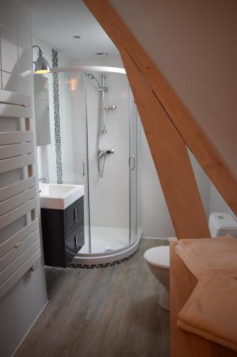 une salle de bain avec une douche, un lavabo et des toilettes dans l'établissement Chambre Périgourdine, à Beynac-et-Cazenac