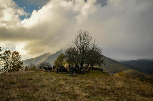 a field with a tree on a hill with mountains at Planinska kuća Bubi - Tara, Zaovine. in Jezdići