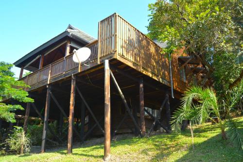 a house on wooden posts in the grass at House 52 in Sodwana Bay