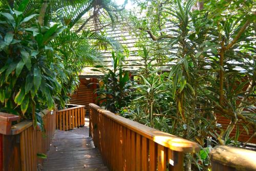 a wooden walkway in a garden with trees and plants at House 52 in Sodwana Bay