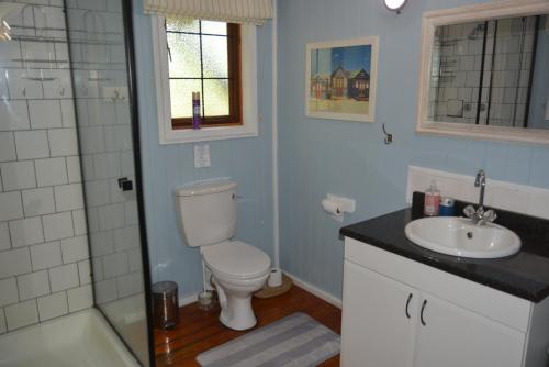a bathroom with a toilet and a sink and a shower at House 52 in Sodwana Bay