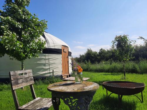 Κήπος έξω από το Glastonbury Wild Glamping
