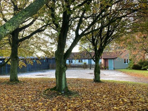 three trees in a park with leaves on the ground at The Old Dairy & The Old Stables in Thetford