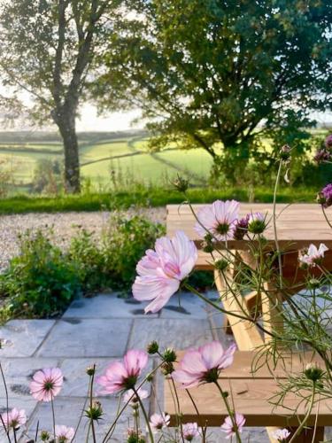 a bunch of pink flowers next to a wooden bench at Whitebeam, Moor and Sea Holidays, beautiful views over Exmoor in Lynton
