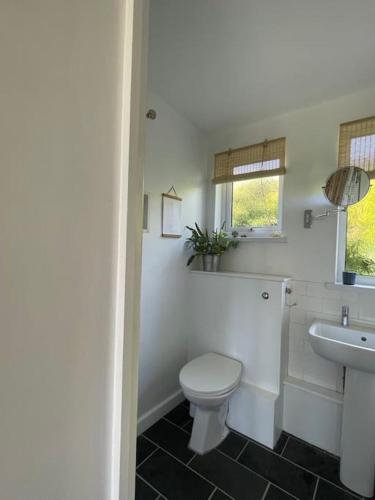 a white bathroom with a toilet and a sink at Whitebeam, Moor and Sea Holidays, beautiful views over Exmoor in Lynton