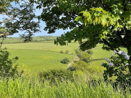 a green field with animals grazing in the distance at Whitebeam, Moor and Sea Holidays, beautiful views over Exmoor in Lynton