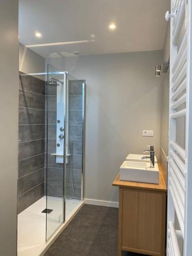 une salle de bain avec douche et lavabo dans l'établissement Eco Gîte 12 pers La Charmante des Vallons avec SPA, à Saint-Mars-la-Jaille