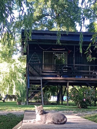 a cat laying on the ground in front of a house at Cabaña ALUMCO in Tigre