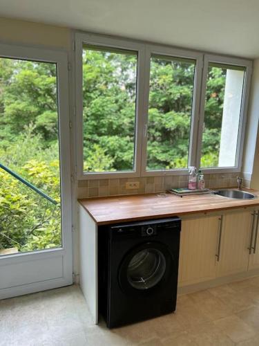une cuisine avec une machine à laver devant deux fenêtres dans l'établissement repos en forêt, à Huelgoat