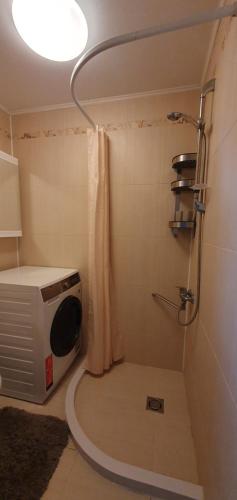 a bathroom with a shower with a microwave at Guboja in Nida