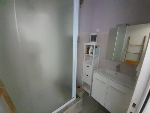 une salle de bain avec douche et lavabo dans l'établissement Appartement T2 rénové, à 2 pas de la plage avec parking, Wifi et animaux admis ! - FR-1-324A-55, à Saint-Hilaire-de-Riez