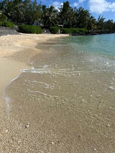a beach with clear water and palm trees in the background at Haute Crécerelle in Pereybere