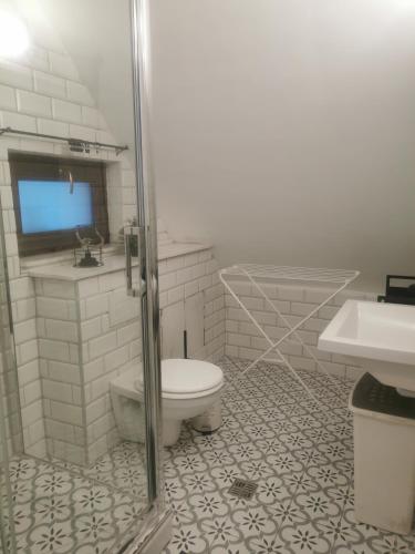 a bathroom with a toilet and a sink at Kúria Apartman Budapest with free parking in Budapest
