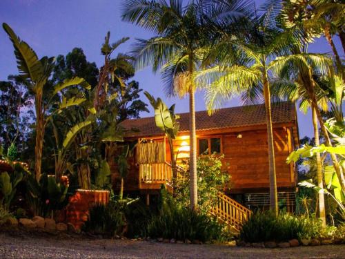 a house with palm trees in front of it at Adventurer's Escape HQ in Harkerville
